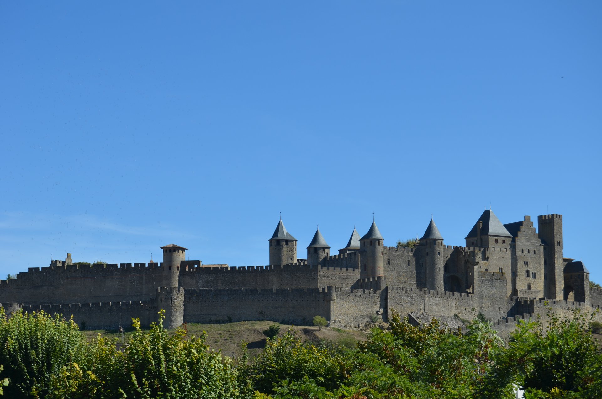 Fiche infos PMI Carcassonne