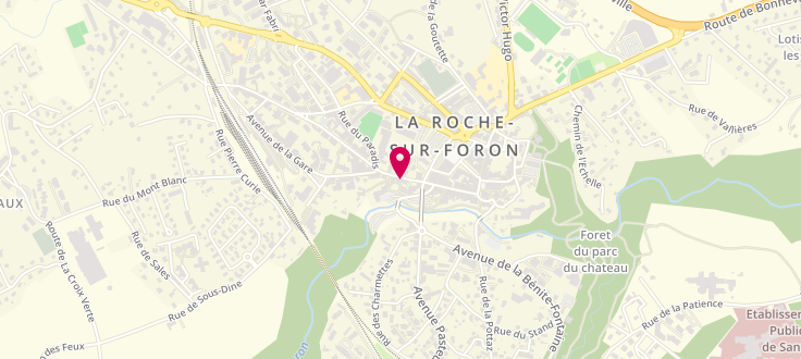 Plan de Pôle Médico Social de La Roche-sur-Foron, 65 Faubourg Saint Bernard, 74800 La Roche-sur-Foron