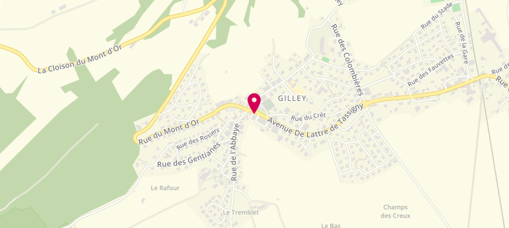 Plan de France services Gilley, 2 Avenue Jean de Lattre de Tassigny, 25650 Gilley