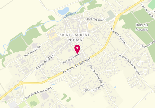 Plan de France services la Poste de Saint-Laurent-Nouan, 4 Rue des Mées, 41220 Saint-Laurent-Nouan
