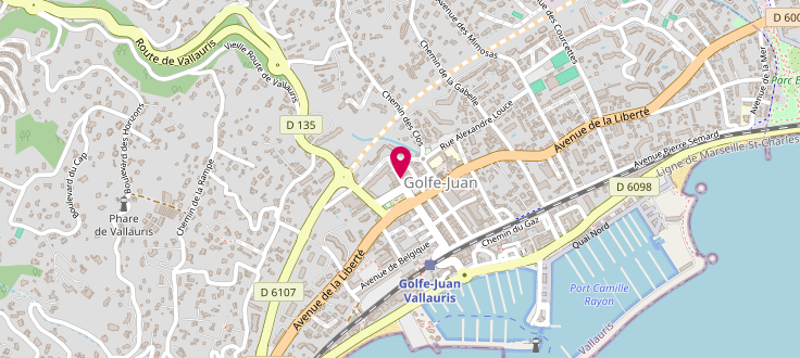 Plan de France services multisites de Vallauris – Mairie Annexe Golfe-Juan, Avenue Aimé, 06220 Vallauris