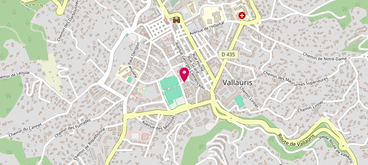Plan de France services multisites de Vallauris - CCAS de Vallauris, 2 Avenue du Stade, 06220 Vallauris